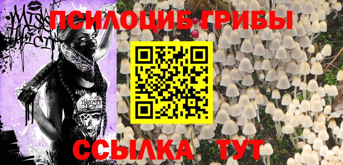 где продают   Галлюциногенные грибы прущие грибы  Вход с VPN  Назарово  Псилоцибиновые грибы Cubensis 
